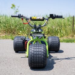 “viper” special edition tgv mini trike