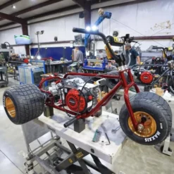 royal gold rim mini trike